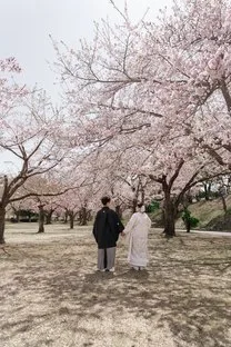 桜でのロケーション撮影