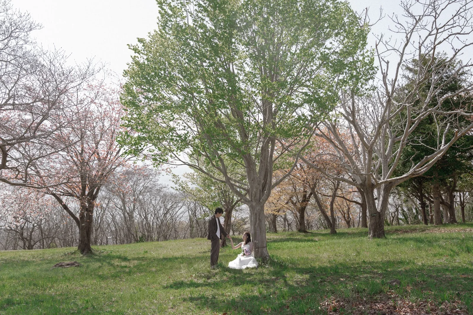 宮城県／桜／洋装／フォトウェディングの撮影（3枚目）