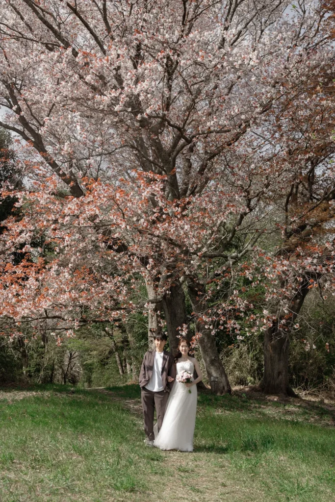 宮城県／桜／洋装／フォトウェディングの撮影（4枚目）