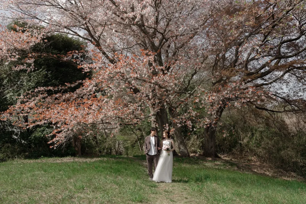 宮城県／桜／洋装／フォトウェディングの撮影（5枚目）
