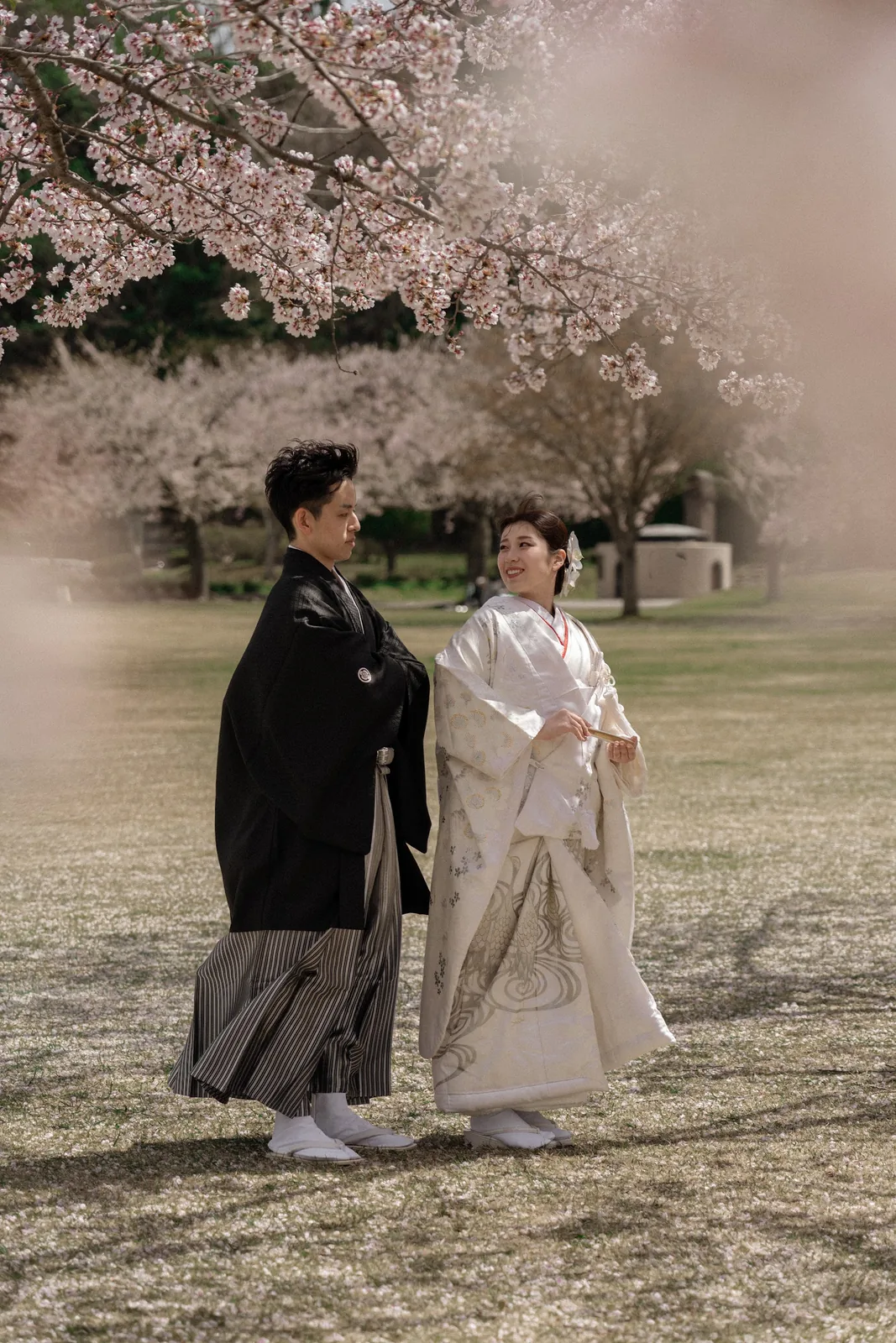 青森県／桜／和装／フォトウェディングの撮影（3枚目）