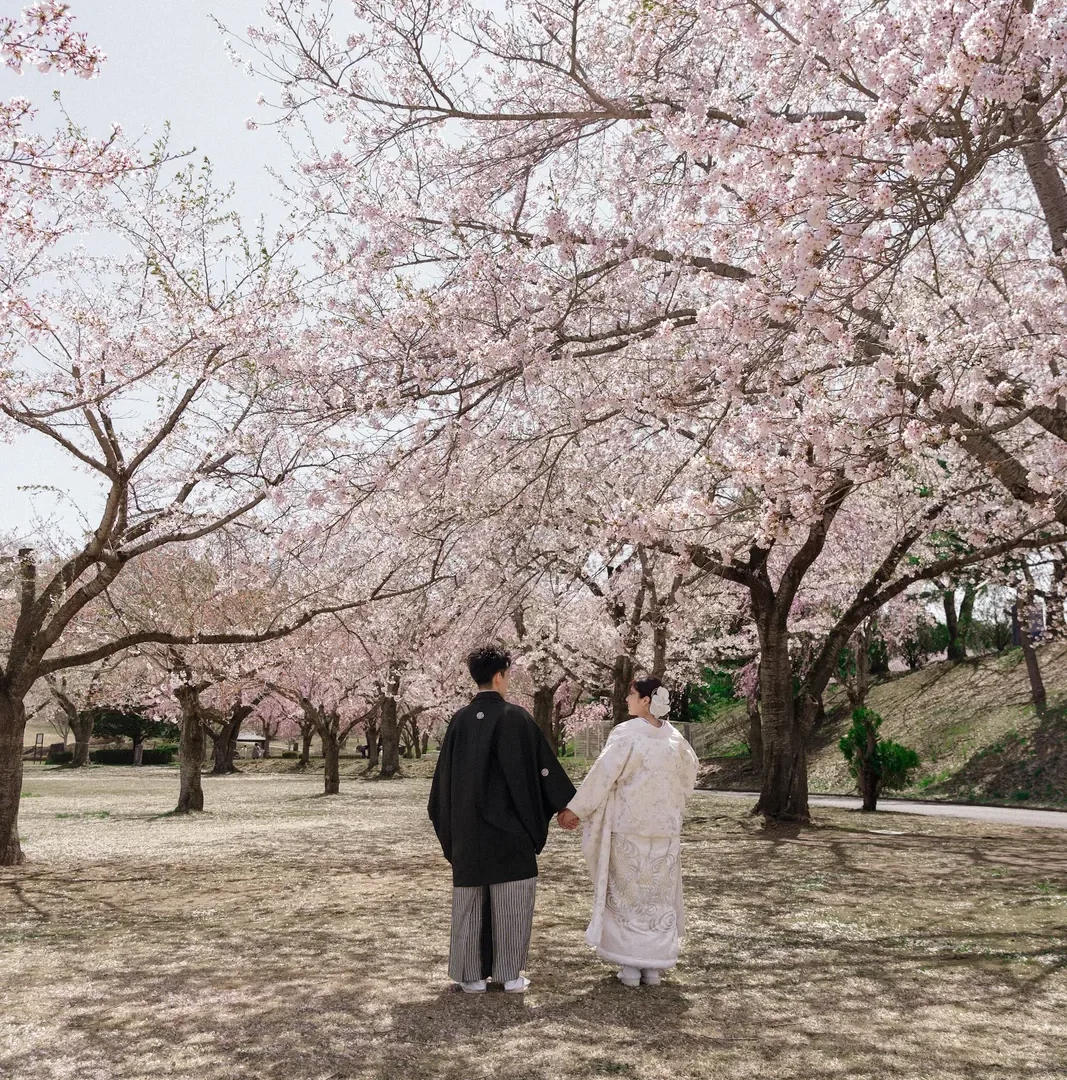 青森｜桜と日本庭園で撮る白無垢のフォトウェディング