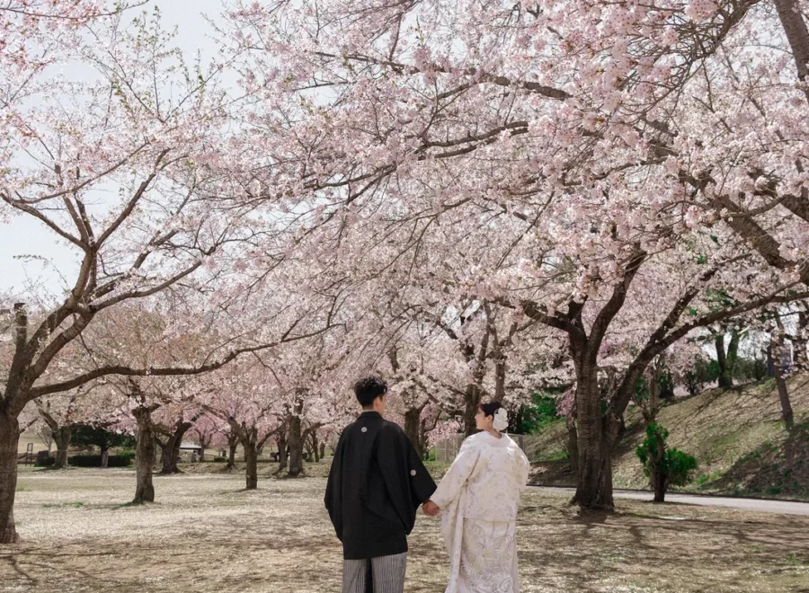 青森｜桜と日本庭園で撮る白無垢のフォトウェディング